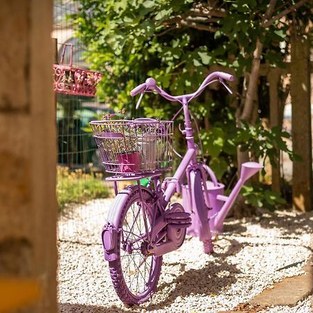Apartament Casa Parenzana Poreč Zewnętrze zdjęcie
