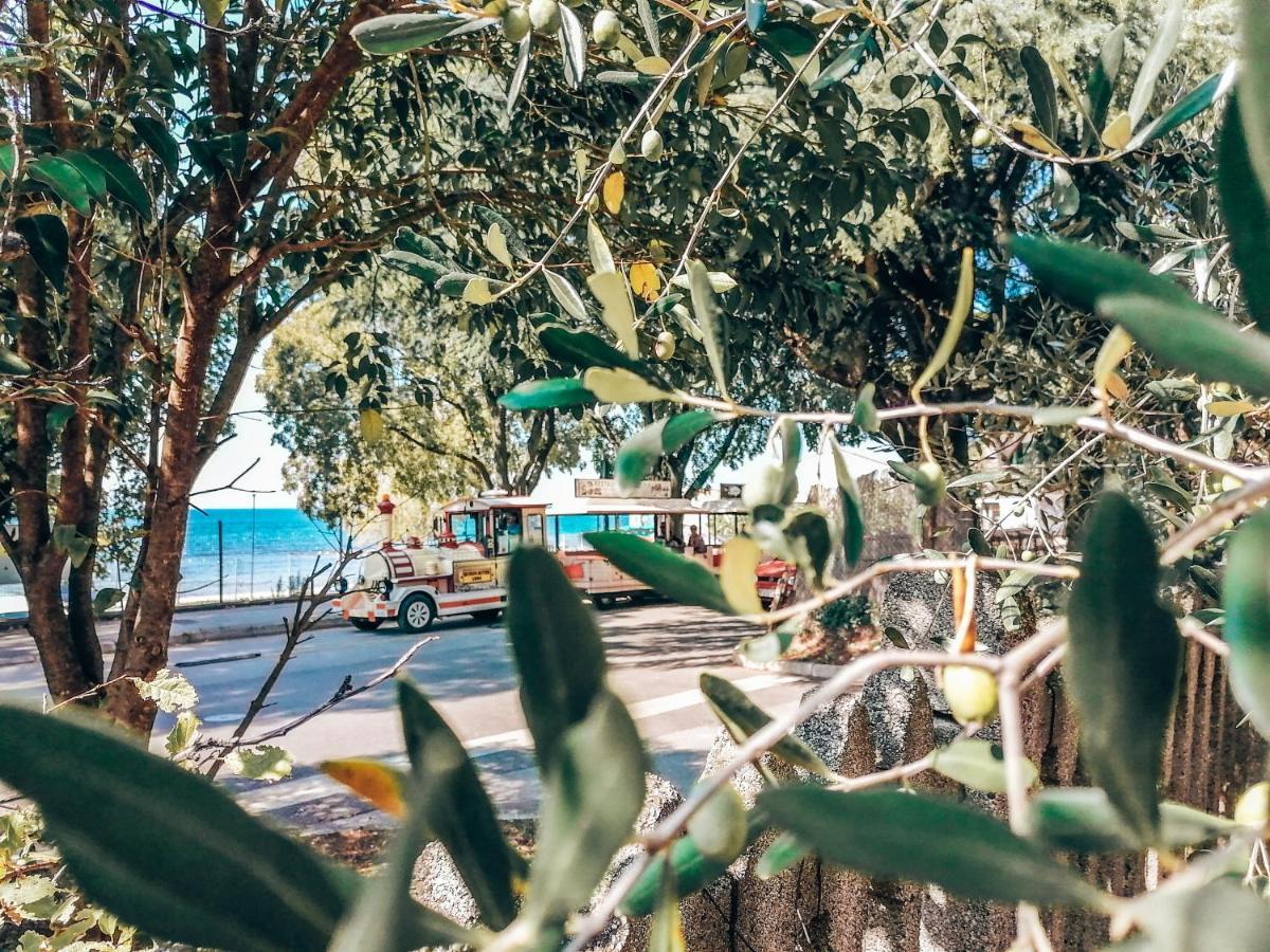 Apartament Casa Parenzana Poreč Zewnętrze zdjęcie