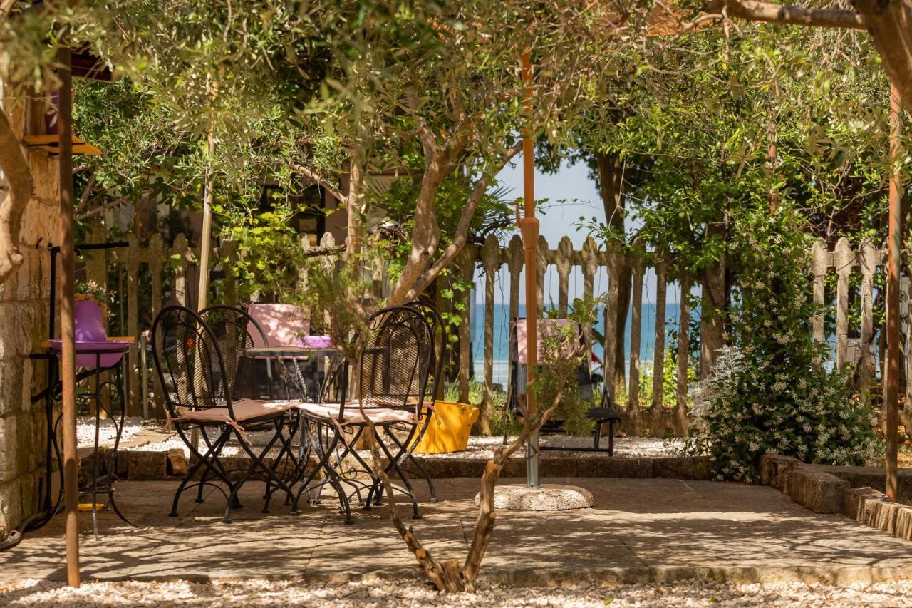 Apartament Casa Parenzana Poreč Zewnętrze zdjęcie